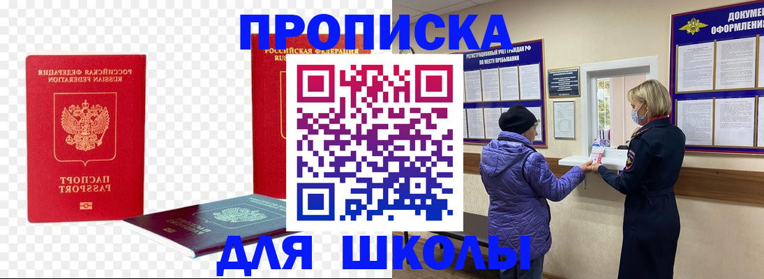 где прописаться в Пионерском